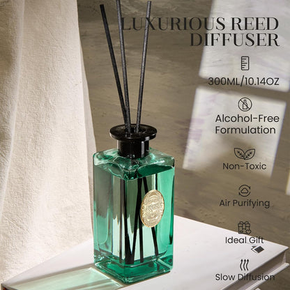 M&SENSE 6.3 oz Large Reed Diffuser Set | Lime+Basil Scent Oil Diffuser with Sticks | Hotel Collection Non-Toxic Home Fragrance |for Bedroom Bathroom Living Room - Colors B