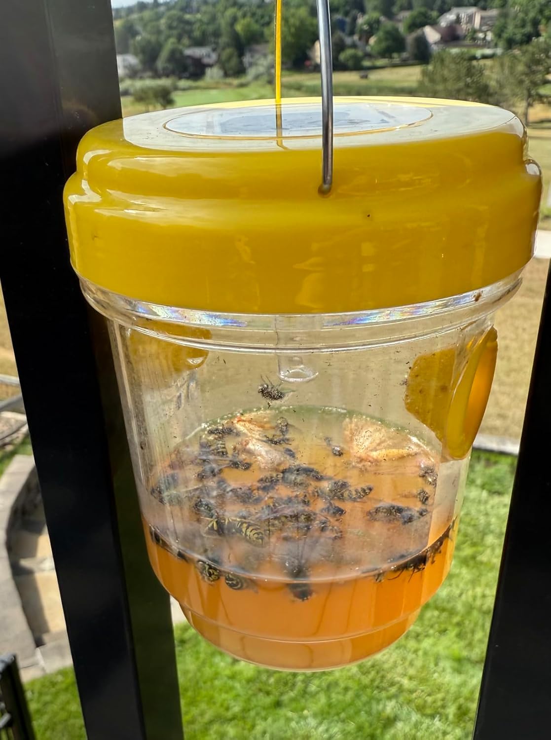 Wasp Traps Outdoor Hanging
