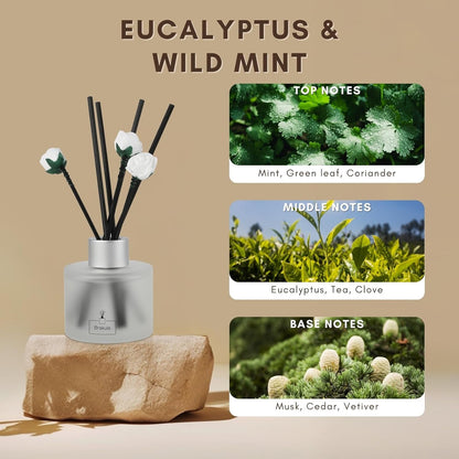 Brakula 2 Pack Reed Diffuser Set, Lavender Eucalyptus Scented, Home Fragrance with 14 Sticks Bathroom Decor, Reed diffusers for Home 6.76 fl oz (Lavender Eucalyptus)