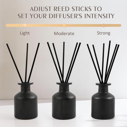 Reed Diffuser Set,Ocean Mist & Sea Salt Fragrance,100ml(3.38 fl.oz) with 6 Reed Sticks,Long-Lasting Oil Diffuser for Home,Office,Bathroom,Flame Free