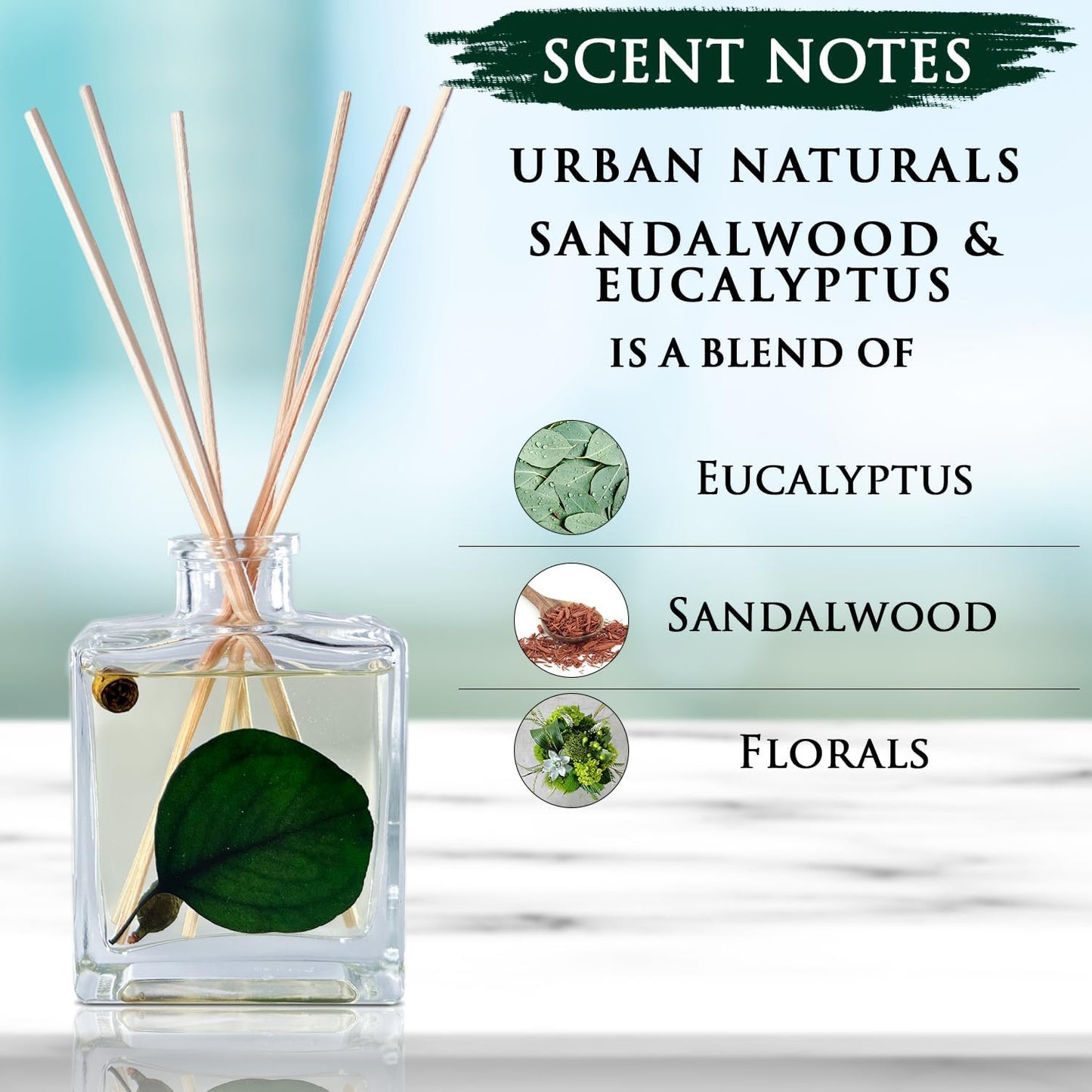 Urban Naturals Smoked Vanilla Reed Diffuser Set with Vanilla Bean, Sandalwood & Leather – 5 Ounce Sleek Black Rectangular Refillable Glass Bottle – Made in the USA