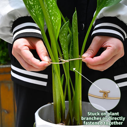 Yohsnor Monstera Plant Stem Support System - 5 Piece Set (5.5x4.7in) | Durable Plant Support Stakes for Climbing Plants & Fishbone Cactus | Ideal Leaf Stabilizer for Indoor Plants & Monstera Care