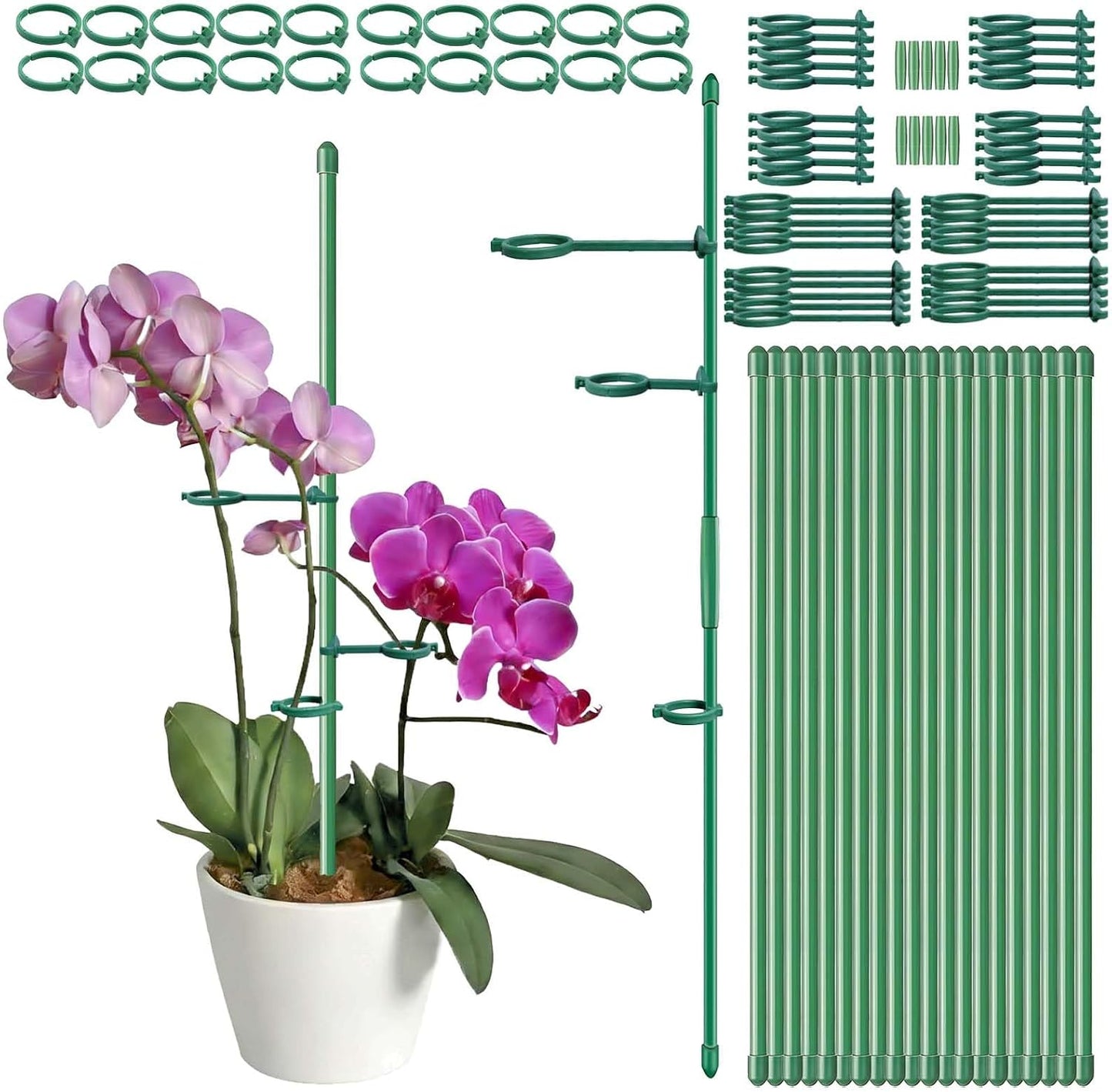 20 Set Plant Stakes 12 inch Extendable Plant Support Stakes with Adjustable Clips Rings, Flower Stem Plant Support Sticks for Indoor Outdoor Plants Stabilizer Garden Sticks for Orchid Rose Tomato