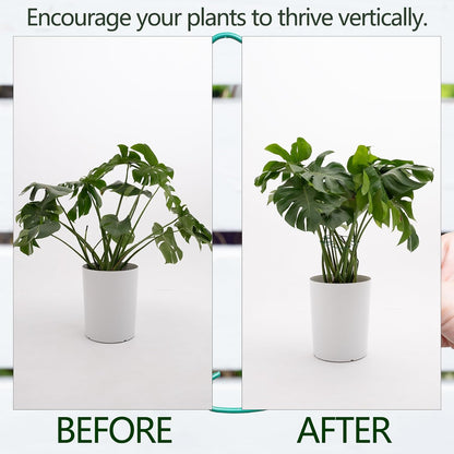 Yohsnor Monstera Plant Stem Support System - 5 Piece Set (5.5x4.7in) | Durable Plant Support Stakes for Climbing Plants & Fishbone Cactus | Ideal Leaf Stabilizer for Indoor Plants & Monstera Care