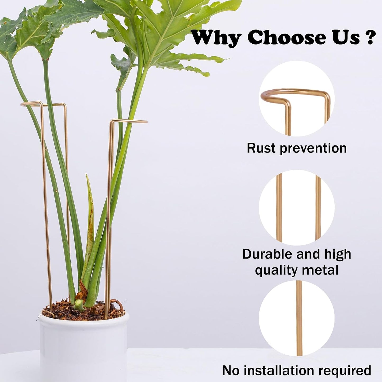 10 Pack Indoor Plant Support for Monstera Trellis Stakes and Stem Holder - Perfect for Small Indoor Plants, Desktop Gardens & Flower Shelf Use, Easy to Set Up and Efficient Support