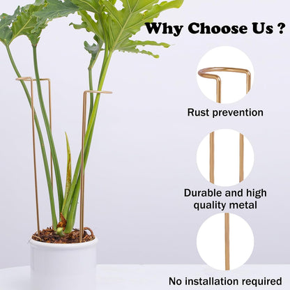 10 Pack Indoor Plant Support for Monstera Trellis Stakes and Stem Holder - Perfect for Small Indoor Plants, Desktop Gardens & Flower Shelf Use, Easy to Set Up and Efficient Support