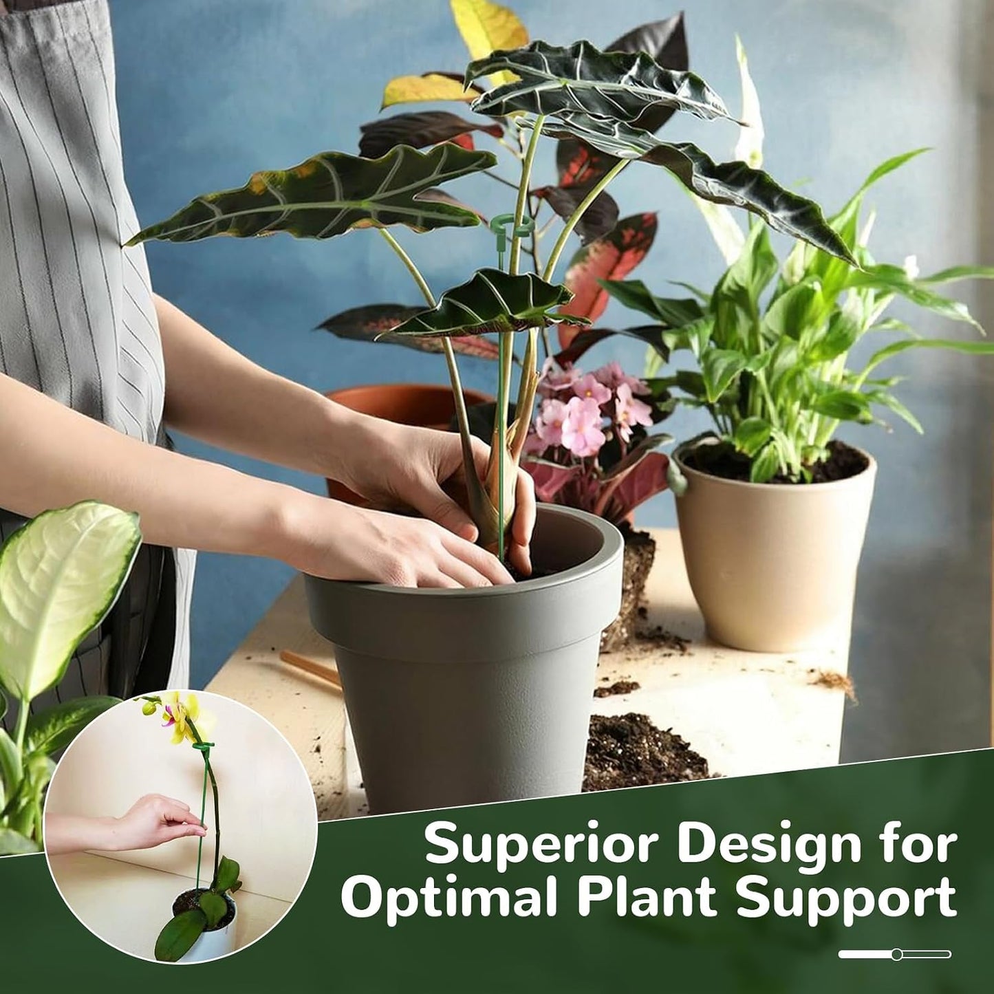 15-Pack Small Plant Stakes with Movable Clips, Adjustable Orchid Stakes and Clips in 3 Heights for Potted Plants, Bulb Flowers and Light-Duty Single Stem Support ﻿