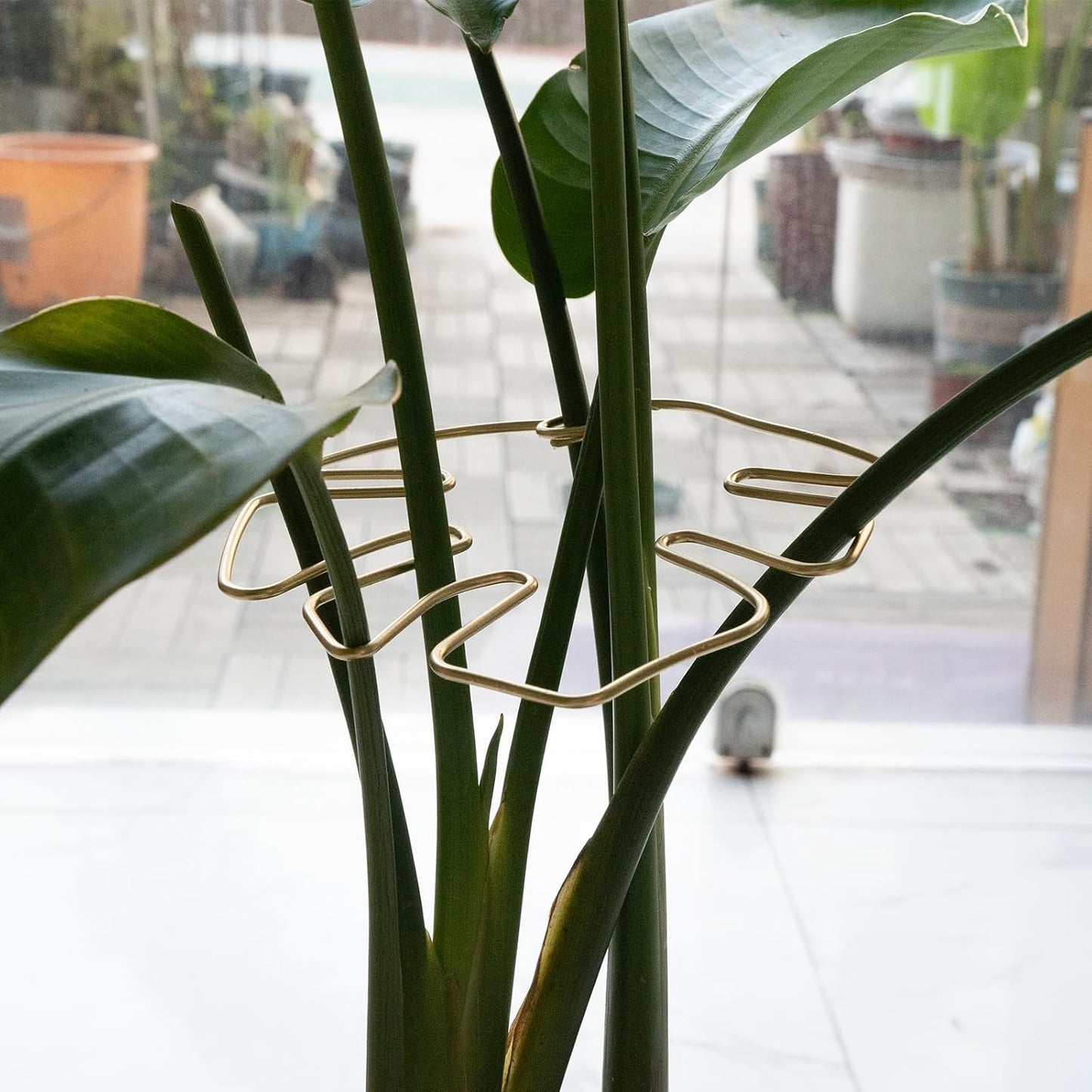5PCS Monstera Plant Stem Support Stakes - 5.5 * 5.5IN Metal Supports for Monstera and Fishbone Cactus, Sturdy Frame, Easy Installation, Flexible Protection for Healthy Growth Indoors