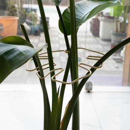 5PCS Monstera Plant Stem Support Stakes - 5.5 * 5.5IN Metal Supports for Monstera and Fishbone Cactus, Sturdy Frame, Easy Installation, Flexible Protection for Healthy Growth Indoors