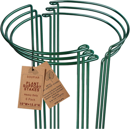 6 Pack Detachable & Assemblable Metal Plant Support Stakes - Garden Support Ring, Tomato Seedling Cage, Young Monstera/Pothos for Growing Indoor/Outdoor (10" W x 16" H)