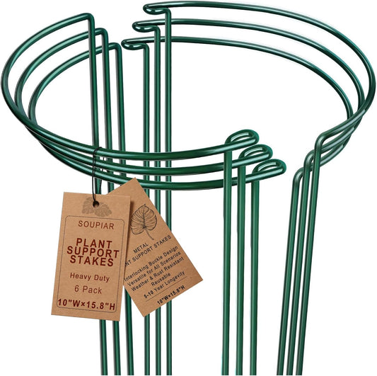 6 Pack Detachable & Assemblable Metal Plant Support Stakes - Garden Support Ring, Tomato Seedling Cage, Young Monstera/Pothos for Growing Indoor/Outdoor (10" W x 16" H)