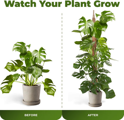 2 Pack 28 Inch Bendable Moss Pole Monstera Plant Support Stakes for Indoor Plants - Tall Moss Stick Trellis for Potted Climbers - Stem Support Accessories for Climbing Houseplants