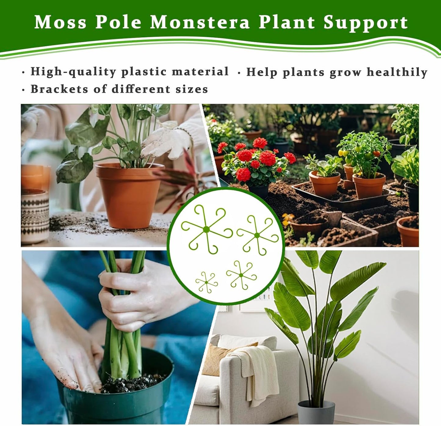 Monstera Plant Support, 16Pcs 4 Sizes Plant Stem Holders Reusable Plant Stakes for Indoor Plants Accessories Garden Tools