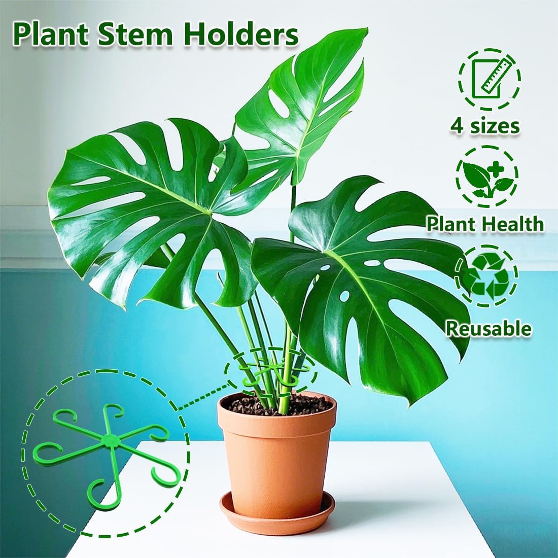 8PCS Climbing Plant Stem Supports 4 Sizes, Reusable Plastic Stakes Indoor/Outdoor Garden Flower Growth Accessories Stem Holder for Thriving Plant Growth