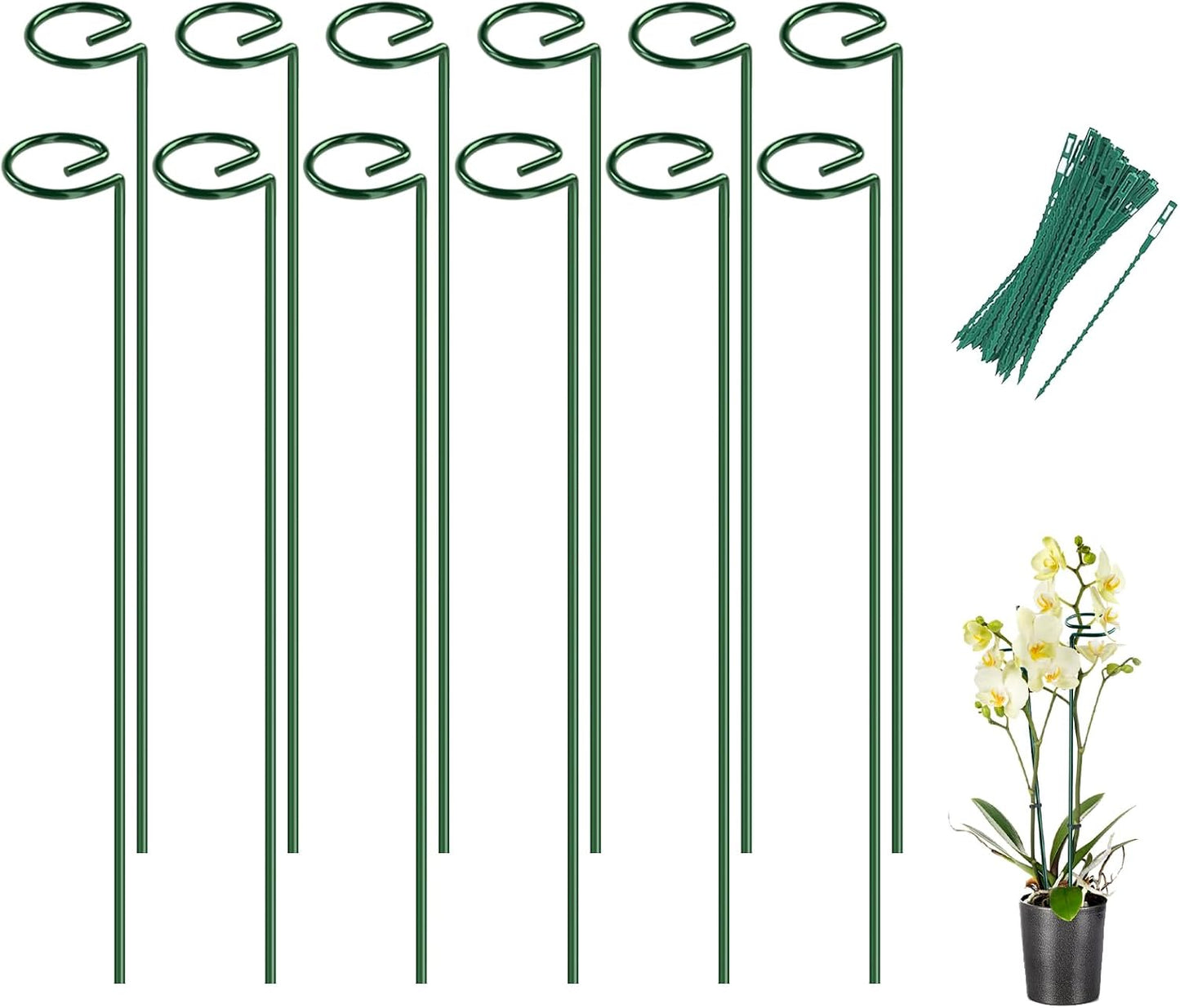 12 Pack 16 In Metal Plant Stakes, Plant Support Stakes with 15 Twist Ties | Plant Supports, Flower Stakes for Indoor Outdoor Plants, Peony, Tomato Seedling, Marigold, Amaryllis, Sapling, Coreopsis