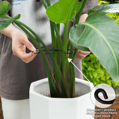 Yohsnor Monstera Plant Stem Support System - 5 Piece Set (5.5x4.7in) | Durable Plant Support Stakes for Climbing Plants & Fishbone Cactus | Ideal Leaf Stabilizer for Indoor Plants & Monstera Care