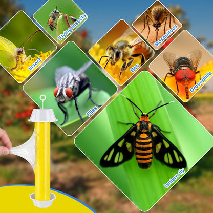 Qualirey 12 Pcs Sticky Fly Trap Fly Stick Indoor Outdoor Long Lasting Hanging Flies Bug Catcher Paper Tape Strips with Hook for Wasps Gnats Bug Insects Fruit Flies Mosquitoes (Stylish-3,Yellow)
