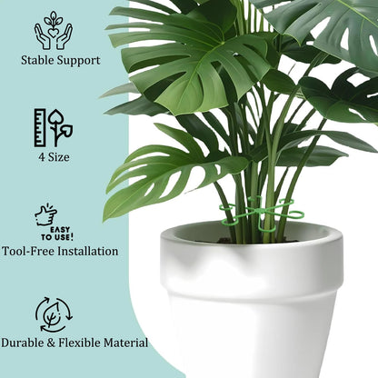 Brimoon 8pcs Plant Stem Support for Indoor Plants, 4 Sizes Reusable Monstera Plant Stem Stabilizer, Plant Stem Holder for Thriving Growth