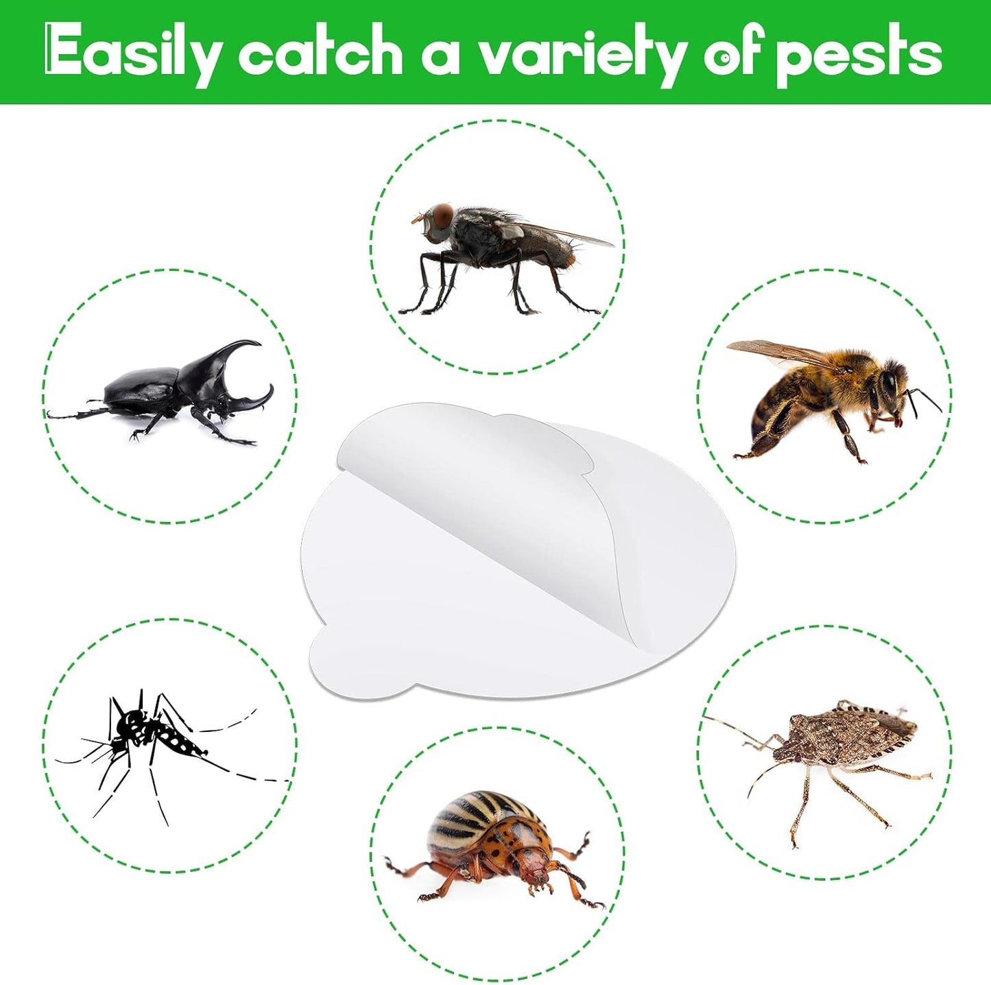 48 Pcs Round Insect Trap Refillable Glue Boards Sticky Fruit Fly Trap Mosquito Fly Killer for Mosquitoes Fruit Flies Gnats Moths Fits Most Models Indoor Outdoor Lamp (4.3 Inch)