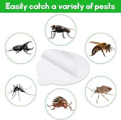 48 Pcs Round Insect Trap Refillable Glue Boards Sticky Fruit Fly Trap Mosquito Fly Killer for Mosquitoes Fruit Flies Gnats Moths Fits Most Models Indoor Outdoor Lamp (4.3 Inch)