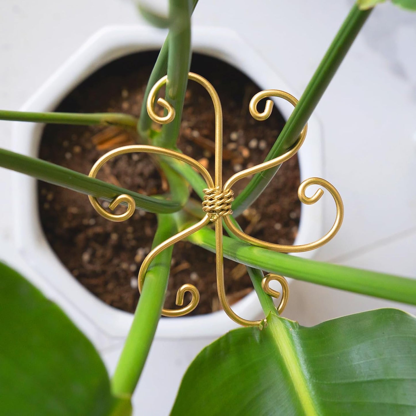 5PCS Monstera Plant Stem Support Stakes - 5.5 * 5.5IN Metal Supports for Monstera and Fishbone Cactus, Sturdy Frame, Easy Installation, Flexible Protection for Healthy Growth Indoors