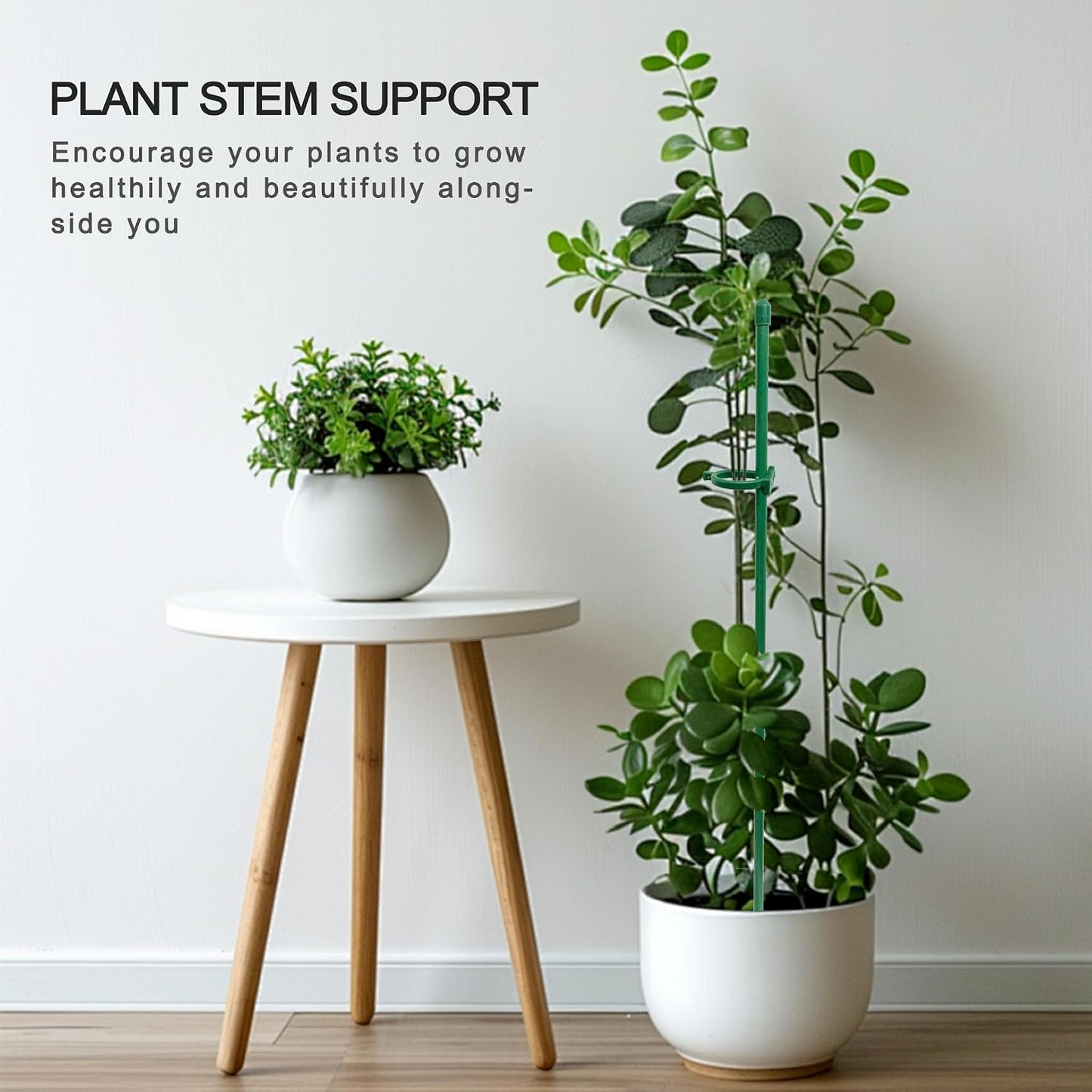 Plant Stakes for Indoor Plants,10PCS Plant Sticks 15.7in Plant Support Stakes for Potted Tomato Vegetables, Orchid Stakes with Clips for Indoor Outdoor