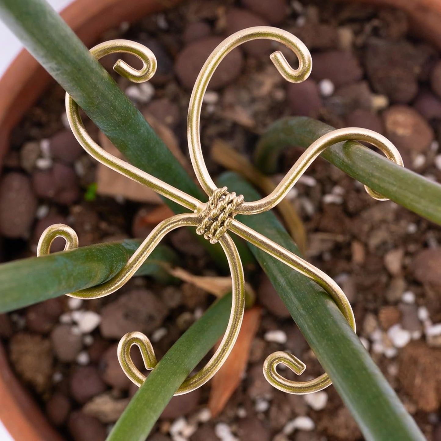 5PCS Monstera Plant Stem Support Stakes - 5.5 * 5.5IN Metal Supports for Monstera and Fishbone Cactus, Sturdy Frame, Easy Installation, Flexible Protection for Healthy Growth Indoors