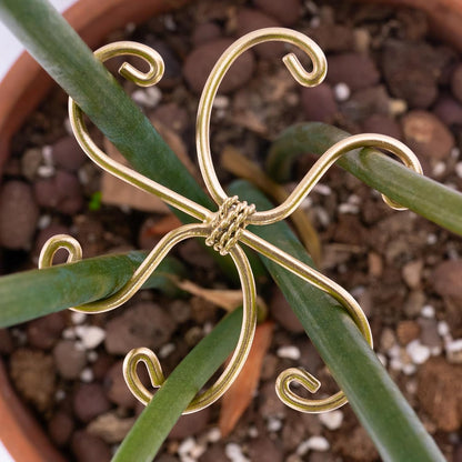 5PCS Monstera Plant Stem Support Stakes - 5.5 * 5.5IN Metal Supports for Monstera and Fishbone Cactus, Sturdy Frame, Easy Installation, Flexible Protection for Healthy Growth Indoors