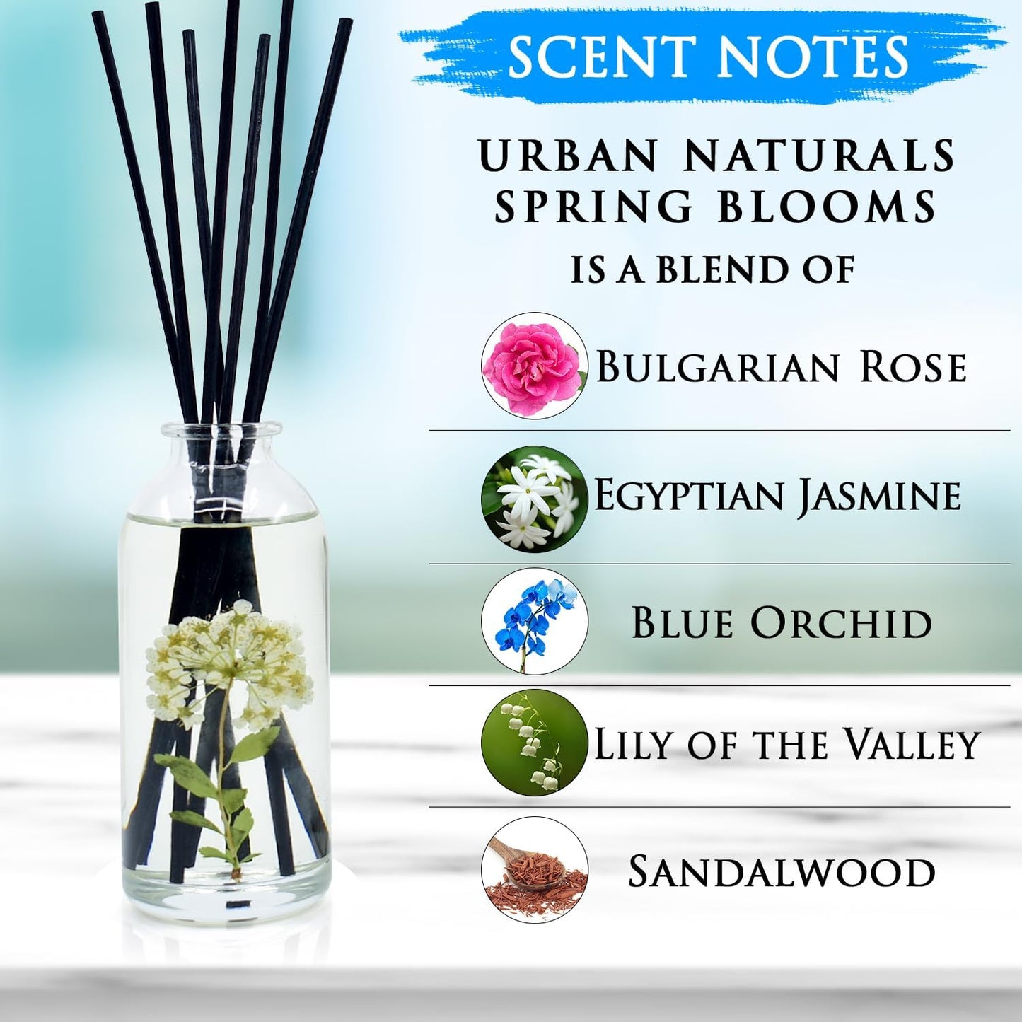 Urban Naturals Smoked Vanilla Reed Diffuser Set with Vanilla Bean, Sandalwood & Leather | Made in the USA - Colors B
