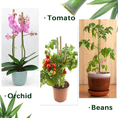 Plant Stakes,18 Inches Natural Garden Bamboo Sticks,BOVITRO 20Pcs Plant Support Stakes for Tomatoes,Beans,Vegetable and Potted Plants