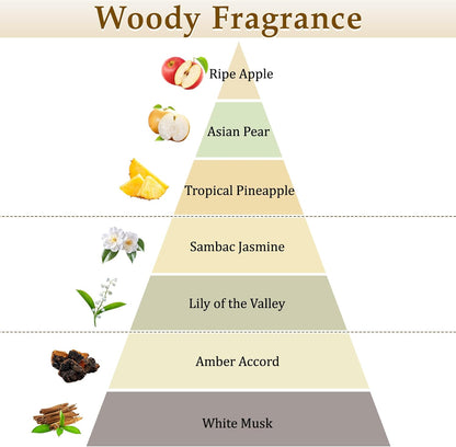 XEPTLE Reed Diffuser Set, 7.04 oz Oud & Bergamot Scent Diffuser with 5 Sticks, Long Lasting Air Freshener, Essential Oil Reed Diffuser for Home, Home Fragrance for Office, Bathroom Shelf Decor, Black