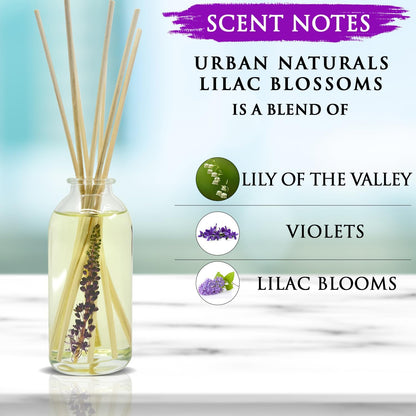 Urban Naturals Smoked Vanilla Reed Diffuser Set with Vanilla Bean, Sandalwood & Leather | Made in the USA - Colors C