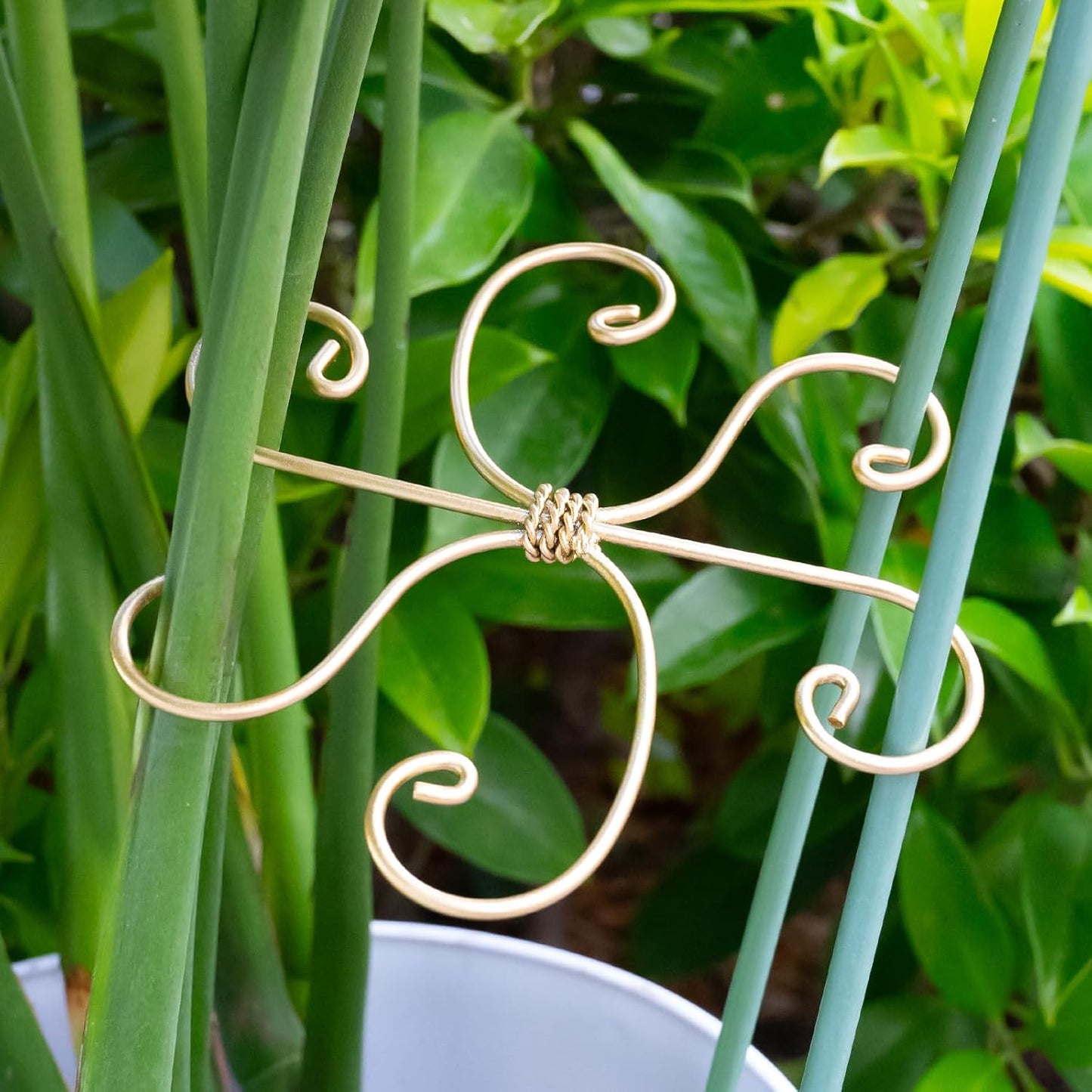 5PCS Monstera Plant Stem Support Stakes - 5.5 * 5.5IN Metal Supports for Monstera and Fishbone Cactus, Sturdy Frame, Easy Installation, Flexible Protection for Healthy Growth Indoors