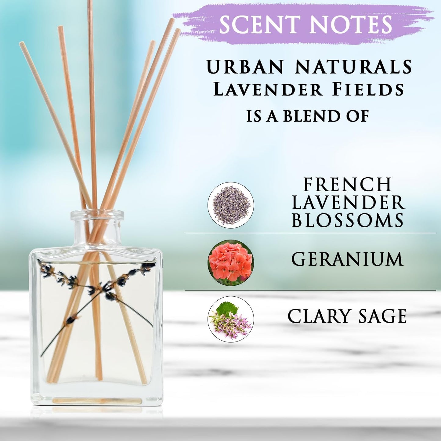 Urban Naturals Smoked Vanilla Reed Diffuser Set with Vanilla Bean, Sandalwood & Leather – 5 Ounce Sleek Black Rectangular Refillable Glass Bottle – Made in the USA