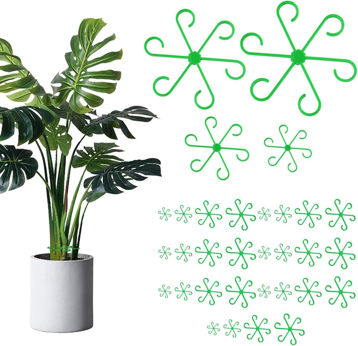 Plant Stem Support for Indoor Outdoor, 16pcs Plastic Monstera Plant Support, 2026 New 4 Sizes Reusable Plant Stabilizer for Climbing Plants, Ivy, Roses, Pothos (16, Green)