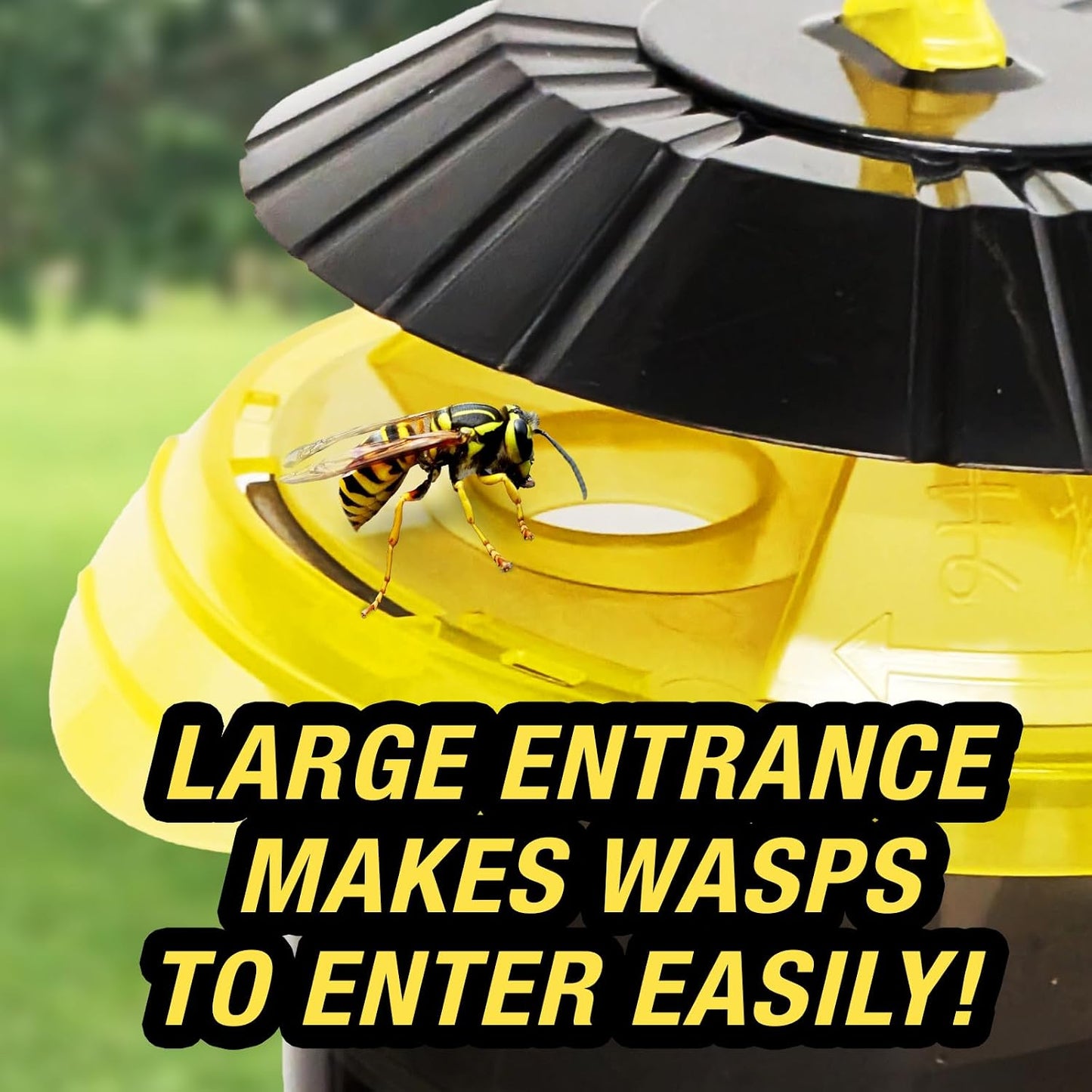 HOY HOY Wasp Trap (1 Unit) - Outdoor Hanging Trap for Yellowjackets, Wasps, Hornets, and Northern Giant Hornets, Food-Based Attractant, Safe, Easy Setup, Up to 30 Days Protection, Made in Japan