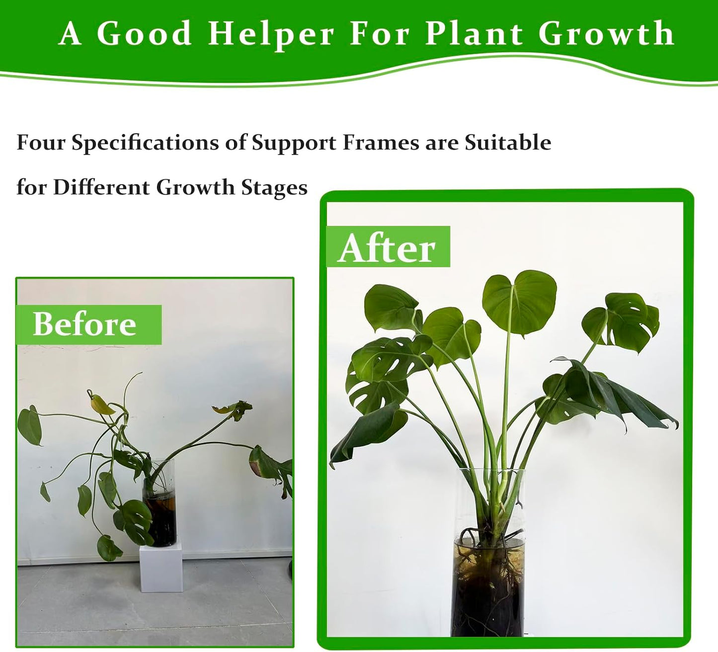 Monstera Plant Support, 16Pcs 4 Sizes Plant Stem Holders Reusable Plant Stakes for Indoor Plants Accessories Garden Tools