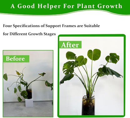 Monstera Plant Support, 16Pcs 4 Sizes Plant Stem Holders Reusable Plant Stakes for Indoor Plants Accessories Garden Tools