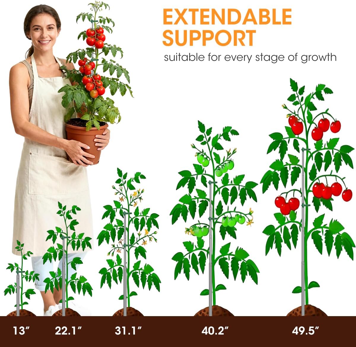 Aieve Extendable Plant Stakes, 13in to 49in Stainless Steel Telescoping Monstera Plant Support Stakes, Indoor Outdoor Garden Stake Support Sticks for Tomato Vegetables Monstera Vine (5 Packs)