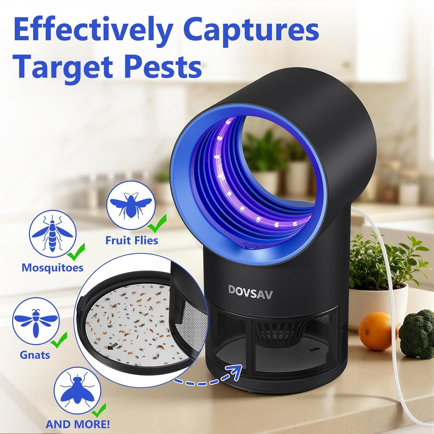 Fruit Fly Trap for Indoors, Blue Bug Zapper Indoor with Suction & Timer | Uv Light Lures Fruit Flies/Gnats, Timer 6/12hrs, Plug in Fly Trap with Suction, Kid & Pet Applicable, Low Noise, 10 refills