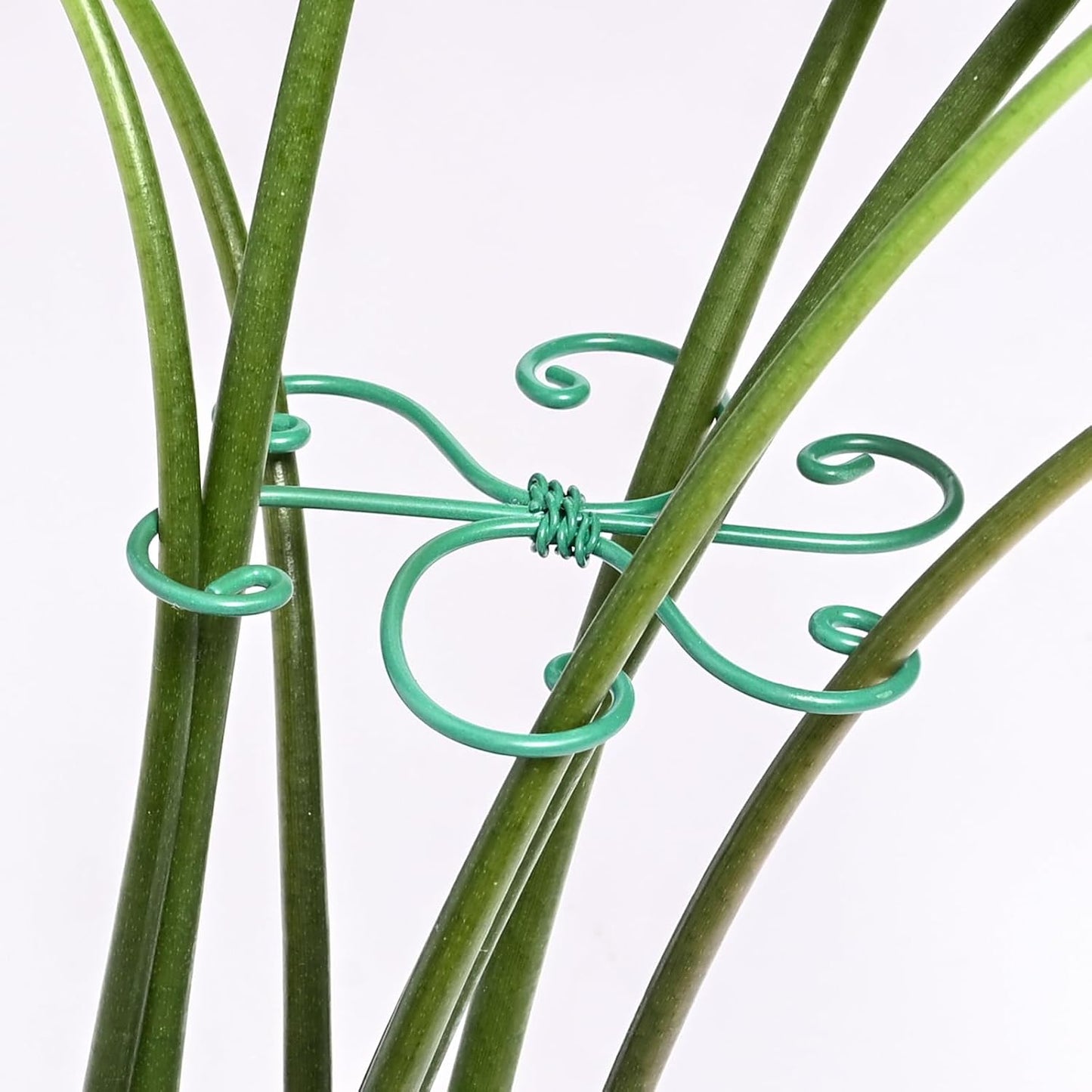 Yohsnor Monstera Plant Stem Support System - 5 Piece Set (5.5x4.7in) | Durable Plant Support Stakes for Climbing Plants & Fishbone Cactus | Ideal Leaf Stabilizer for Indoor Plants & Monstera Care