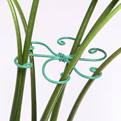 Yohsnor Monstera Plant Stem Support System - 5 Piece Set (5.5x4.7in) | Durable Plant Support Stakes for Climbing Plants & Fishbone Cactus | Ideal Leaf Stabilizer for Indoor Plants & Monstera Care