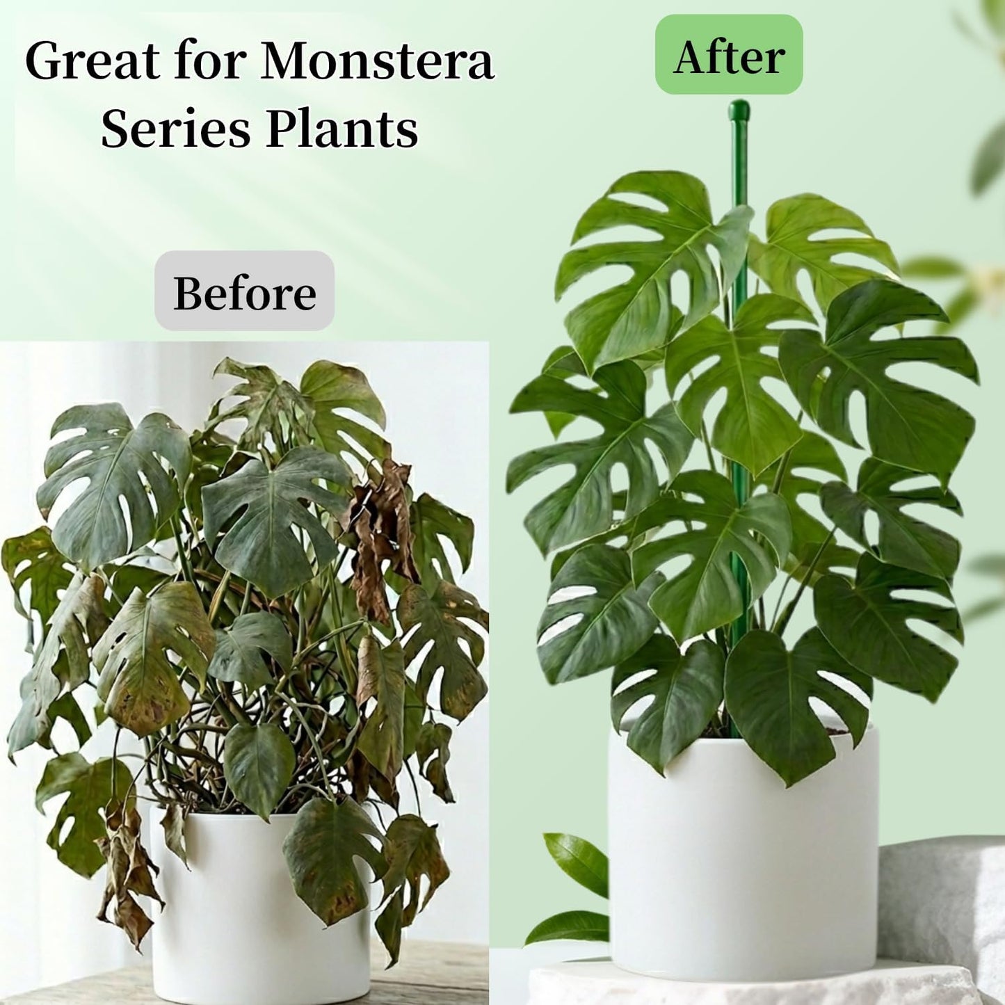 26Pcs Plant Support Combo, 5Pcs Stackable Monstera Plant Stakes Trellis+ 20Pcs Garden Clips + 1Pcs Ties, Moss Pole Alternative for Indoor Outdoor Climbing Vines Houseplants
