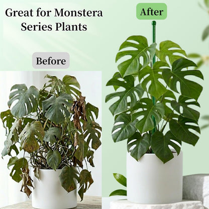 26Pcs Plant Support Combo, 5Pcs Stackable Monstera Plant Stakes Trellis+ 20Pcs Garden Clips + 1Pcs Ties, Moss Pole Alternative for Indoor Outdoor Climbing Vines Houseplants