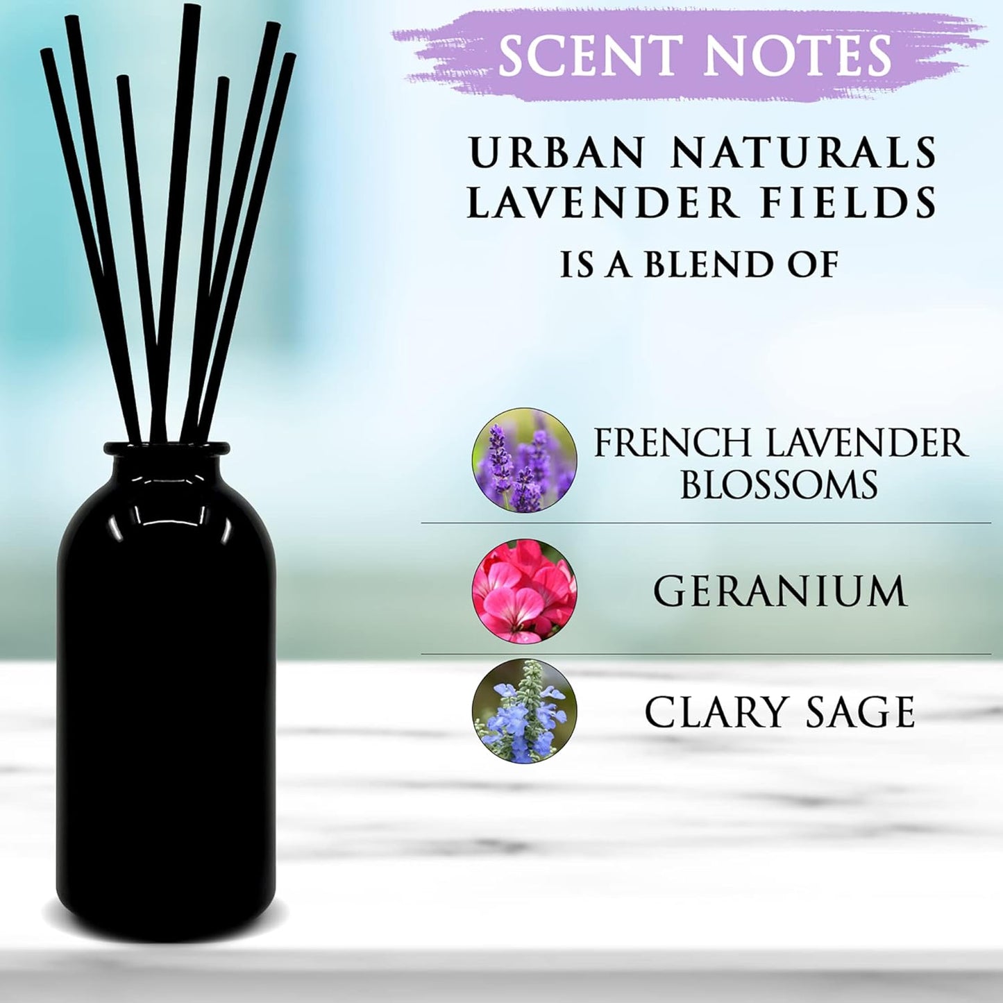 Urban Naturals Smoked Vanilla Reed Diffuser Set with Vanilla Bean, Sandalwood & Leather | Made in the USA - Colors C