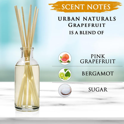 Urban Naturals Smoked Vanilla Reed Diffuser Set with Vanilla Bean, Sandalwood & Leather | Made in the USA - Colors C