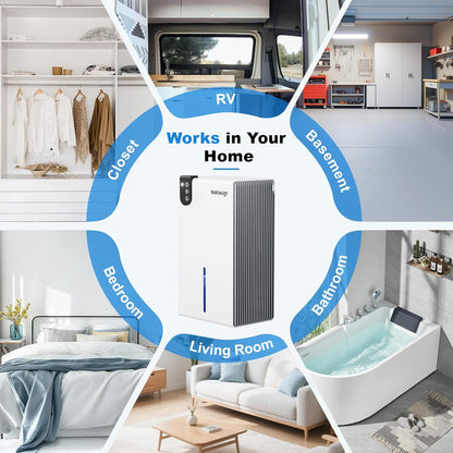 98 OZ Small Dehumidifier for Home 1000 Sq Ft, Quiet Dehumidifier with Drain Hose, Auto Shut-Off, Sleep Mode, 7-Color Light for Basement, Bedroom, Bathroom, Closet, RV (Sliver White)