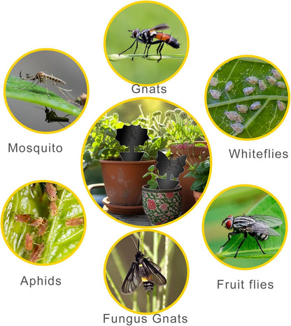 Fruit Fly Traps, 100 Pack Yellow Sticky Traps, Fungus Gnat Traps, Plant Fly Stickers for Indoor and Outdoor Use Protect The Plant