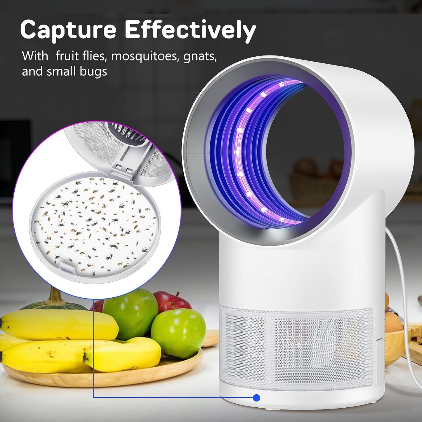 Fly Trap Indoor,Blue Gnat Traps House Indoor,Indoor Insect Trap with Timer | Fruit Fly Trap Indoors Suctions & Captures, 6/12Hr Timer, Kid & Pet Friendly, Low Noise, 10 Refills