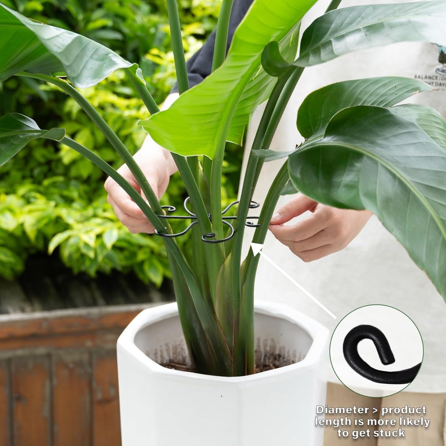 Yohsnor Monstera Plant Stem Support System - 5 Piece Set (5.5x4.7in) | Durable Plant Support Stakes for Climbing Plants & Fishbone Cactus | Ideal Leaf Stabilizer for Indoor Plants & Monstera Care